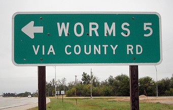11neworms.jpg