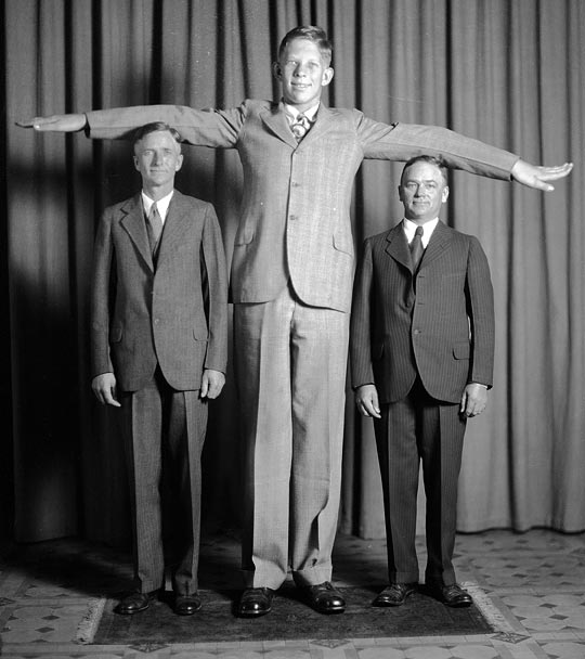 wadlow.jpg